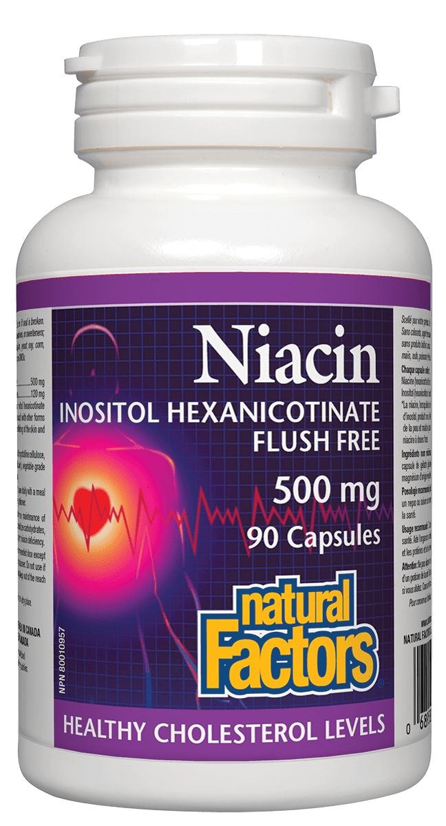 Natural Factors No Flush Niacin 500mg 90 Capsules