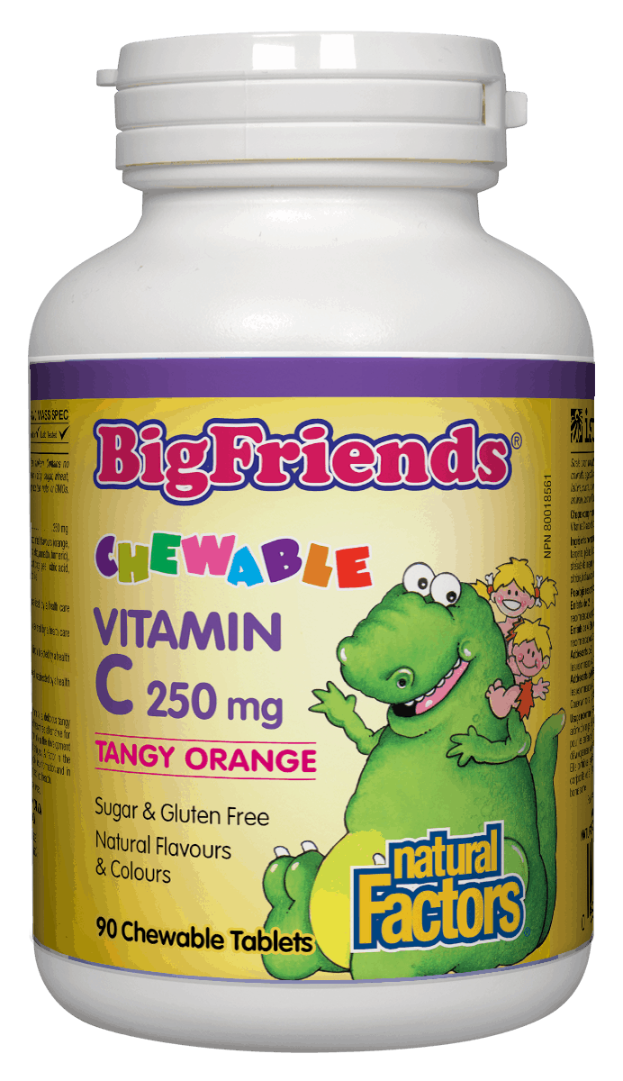 Natural Factors Tangy Orange Big Friends Jr. Chewable C 250mg 90 Chewable Tablets