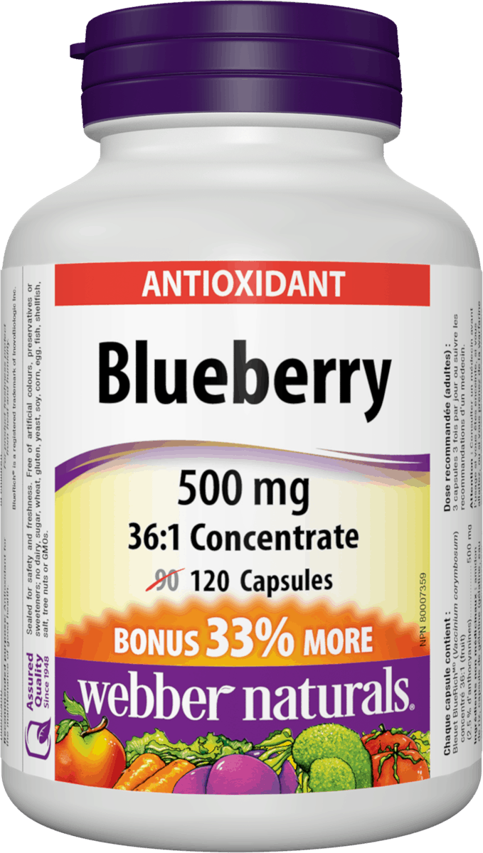 Webber Naturals Blueberry 36:1 Concentrate, 500 mg, 120 Capsules
