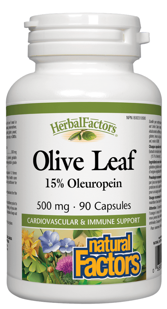 Natural Factors Olive Leaf 500mg 15% Oleuropein 90 Capsules