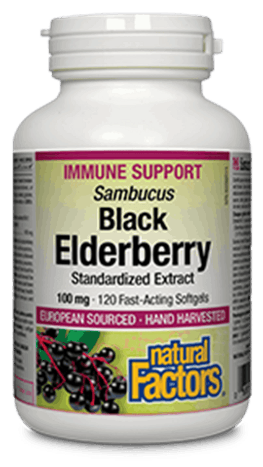 Natural Factors Black Elderberry 100mg Standardized Extract 120 Softgels