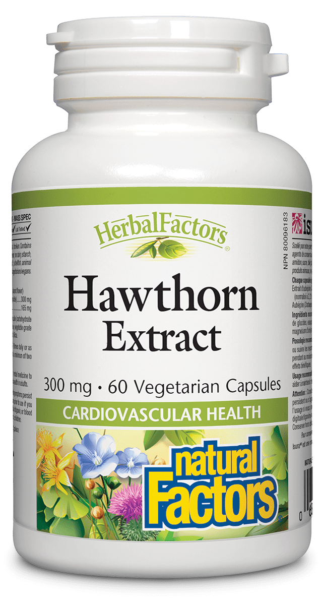 Natural Factors Hawthorn Extract 300mg 60 V-Capsules