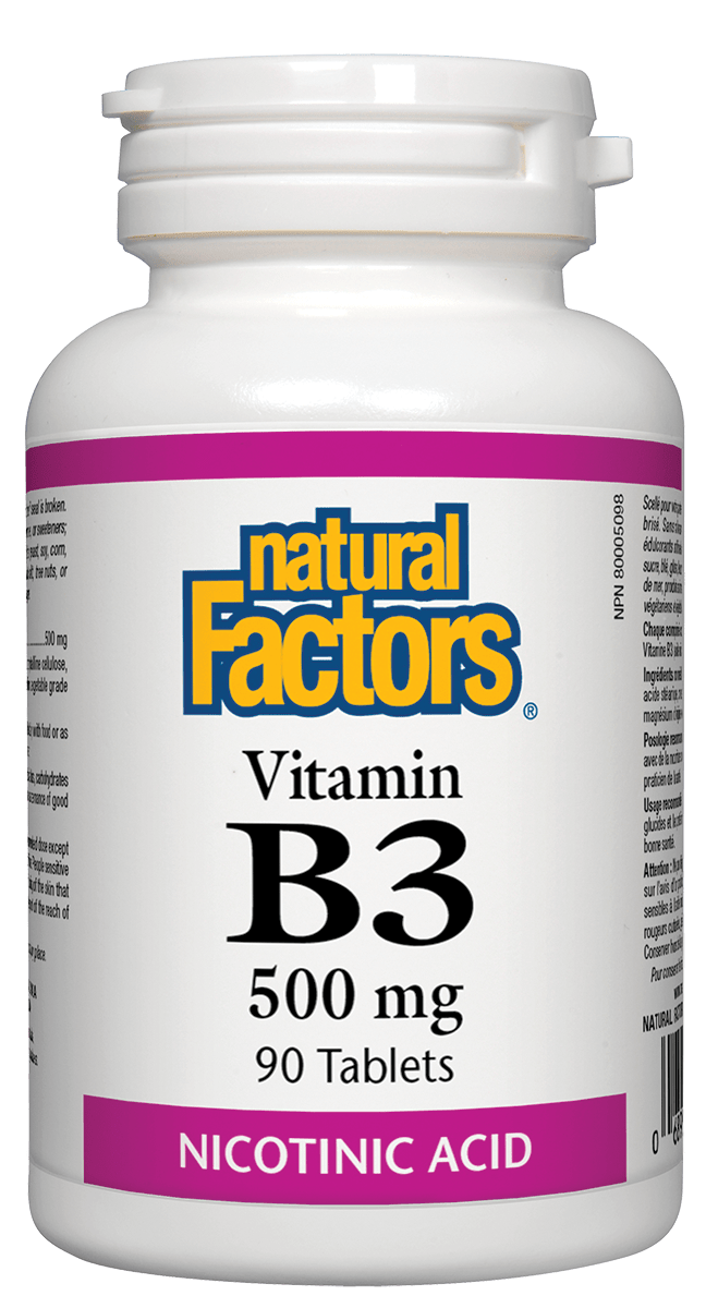 Natural Factors Vitamin B3 500mg 90 Tablets