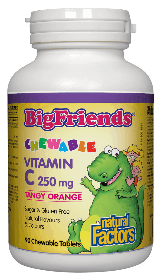 Natural Factors Tangy Orange Big Friends Jr. Chewable C 250mg 90 Chewable Tablets