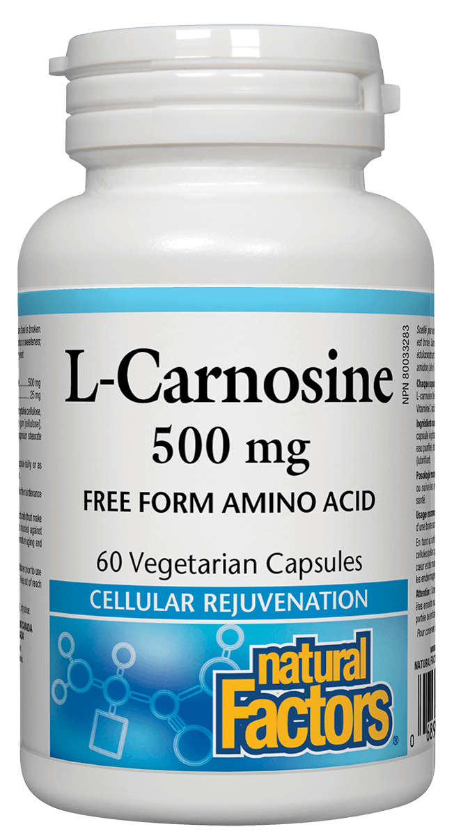 Natural Factors L-Carnosine 500mg 60 V-Capsules