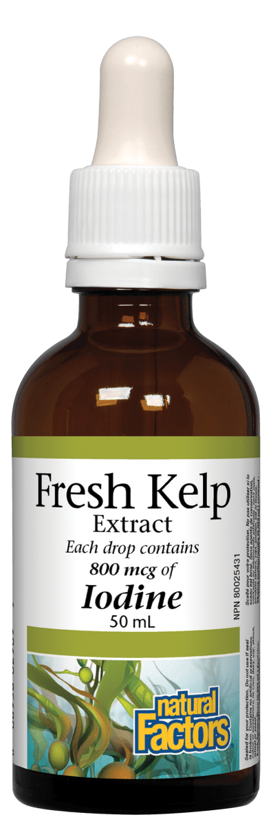 Natural Factors Fresh Kelp Extract 800mcg of Iodine Liquid 50 mL