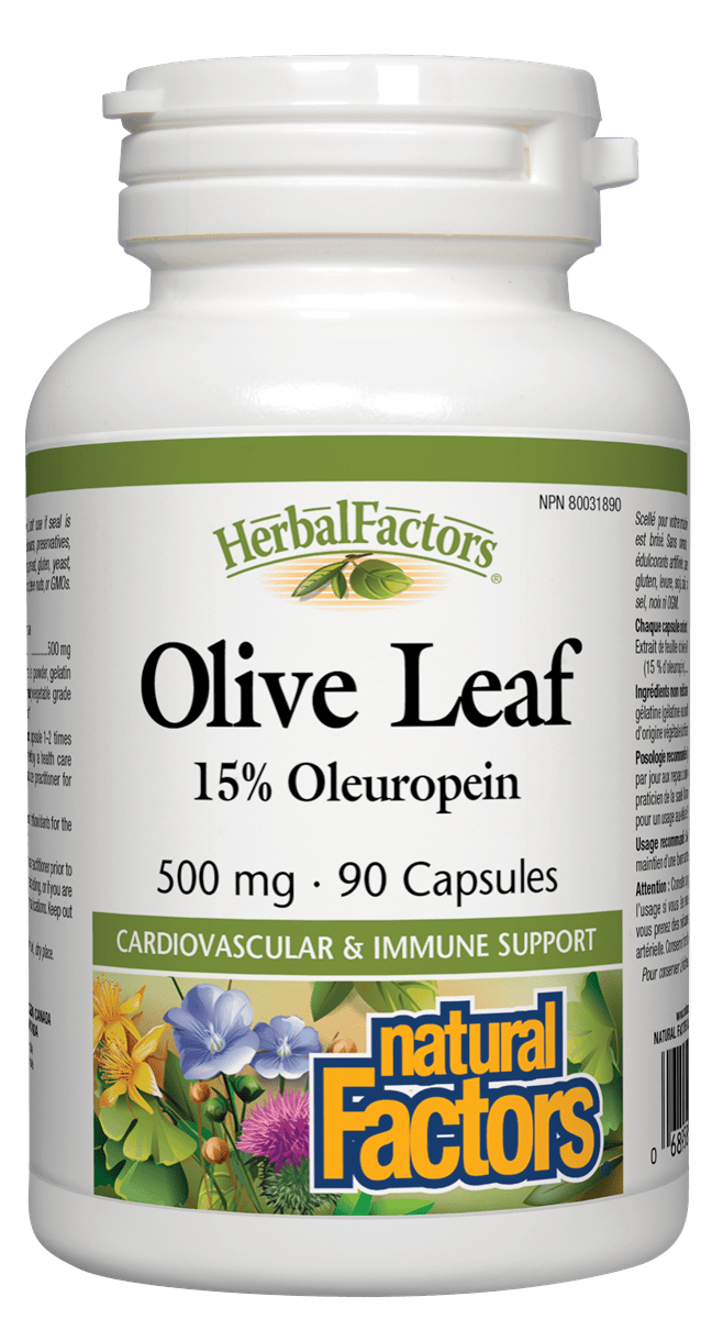 Natural Factors Olive Leaf 500mg 15% Oleuropein 90 Capsules